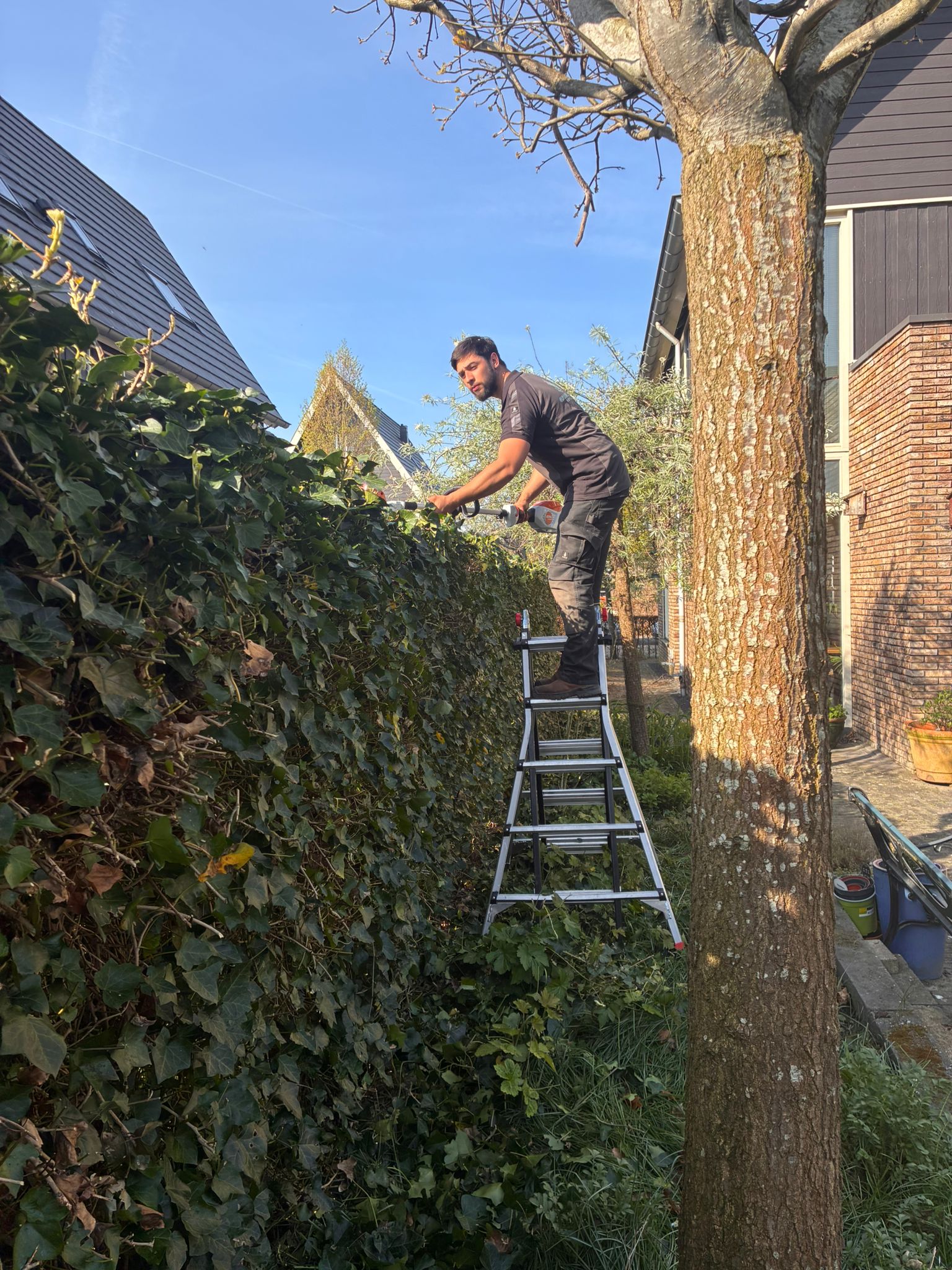 Tuinonderhoud